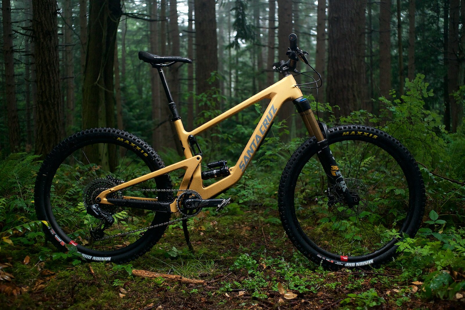 Bike Review Santa Cruz Bronson X01 AXS Carbon CC MX Freehub